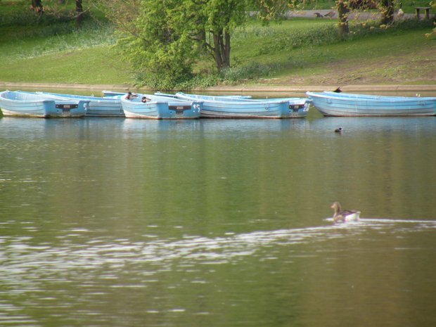  barques, plan d'eau de Regent's Park